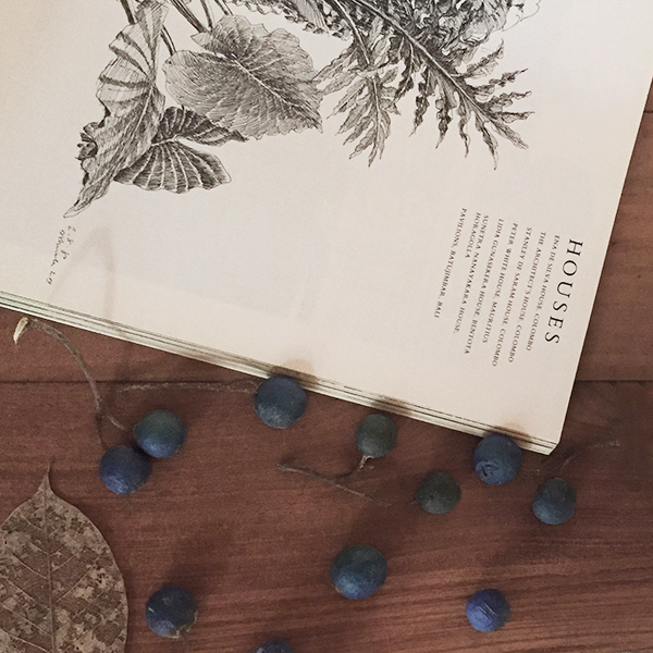 natural interior design, vernacular, beautiful interiors, indian interior design